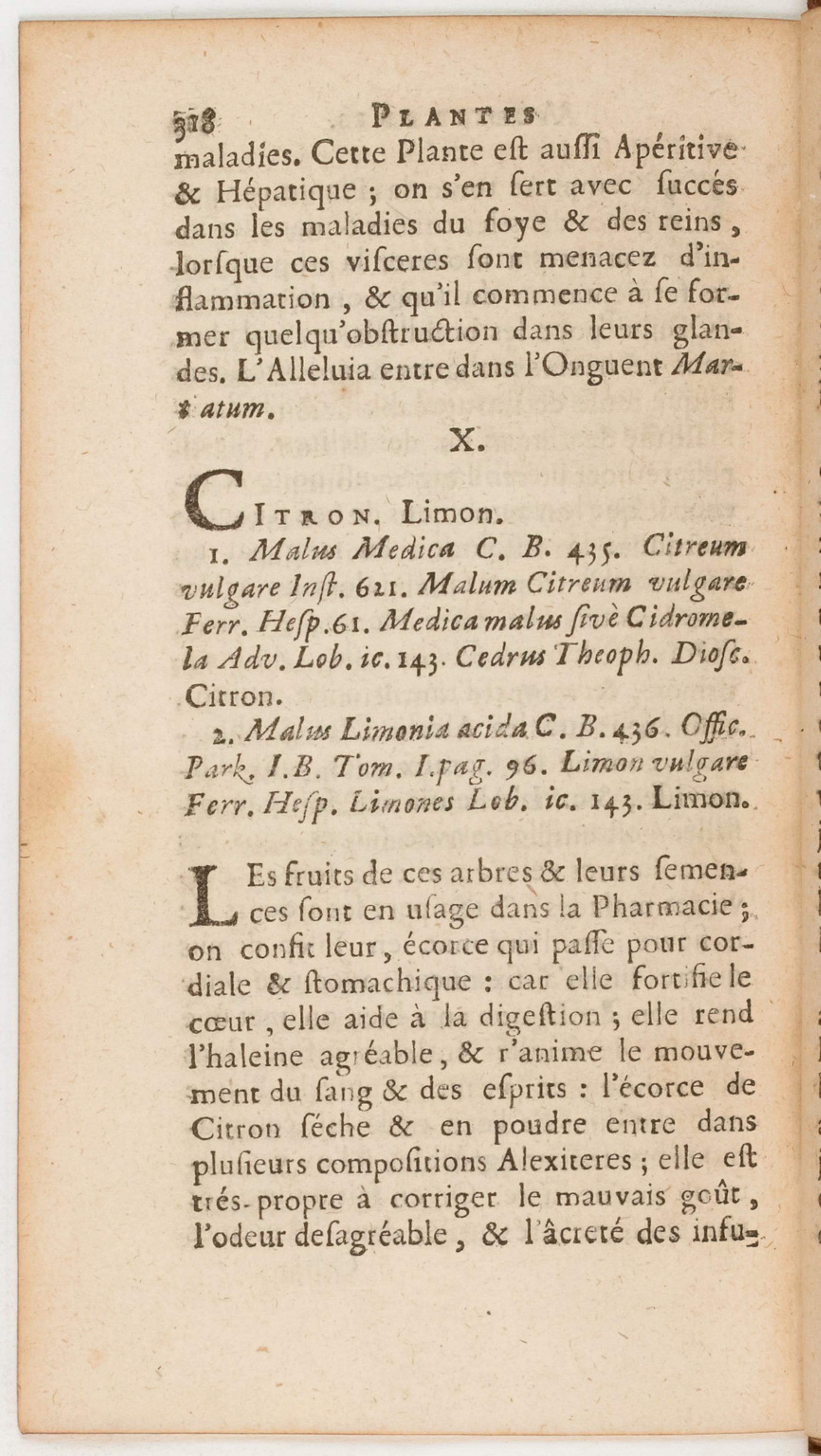 Page 411